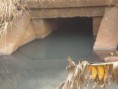 /album/corrego-agua-branca/imagem-137-jpg/